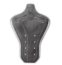 SAS-TEC protection dos SC-1 Lev 2