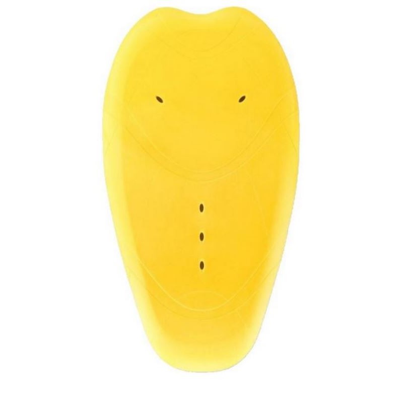 SAS-TEC protection dos SCL- 13