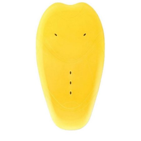 SAS-TEC protection dos SCL- 13