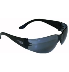 Eyerex Lunettes Cat S noir